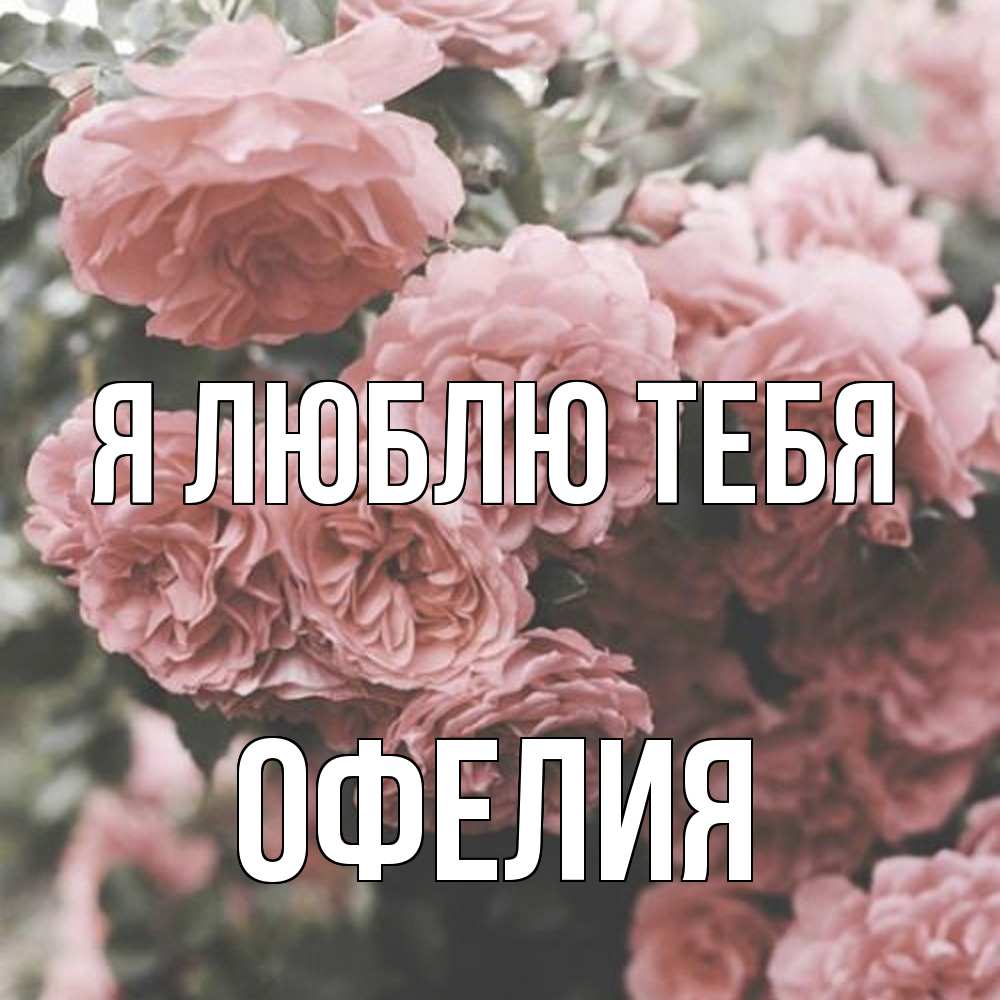 Открытка  с именем. Офелия, Я люблю тебя  