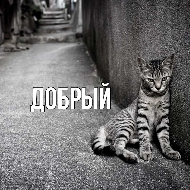 Картинка  с именем , Добрый