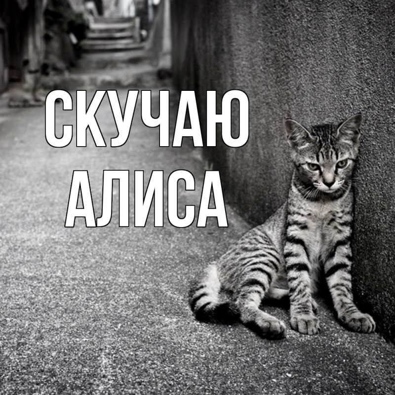 Картинка Скучаю, Алиса