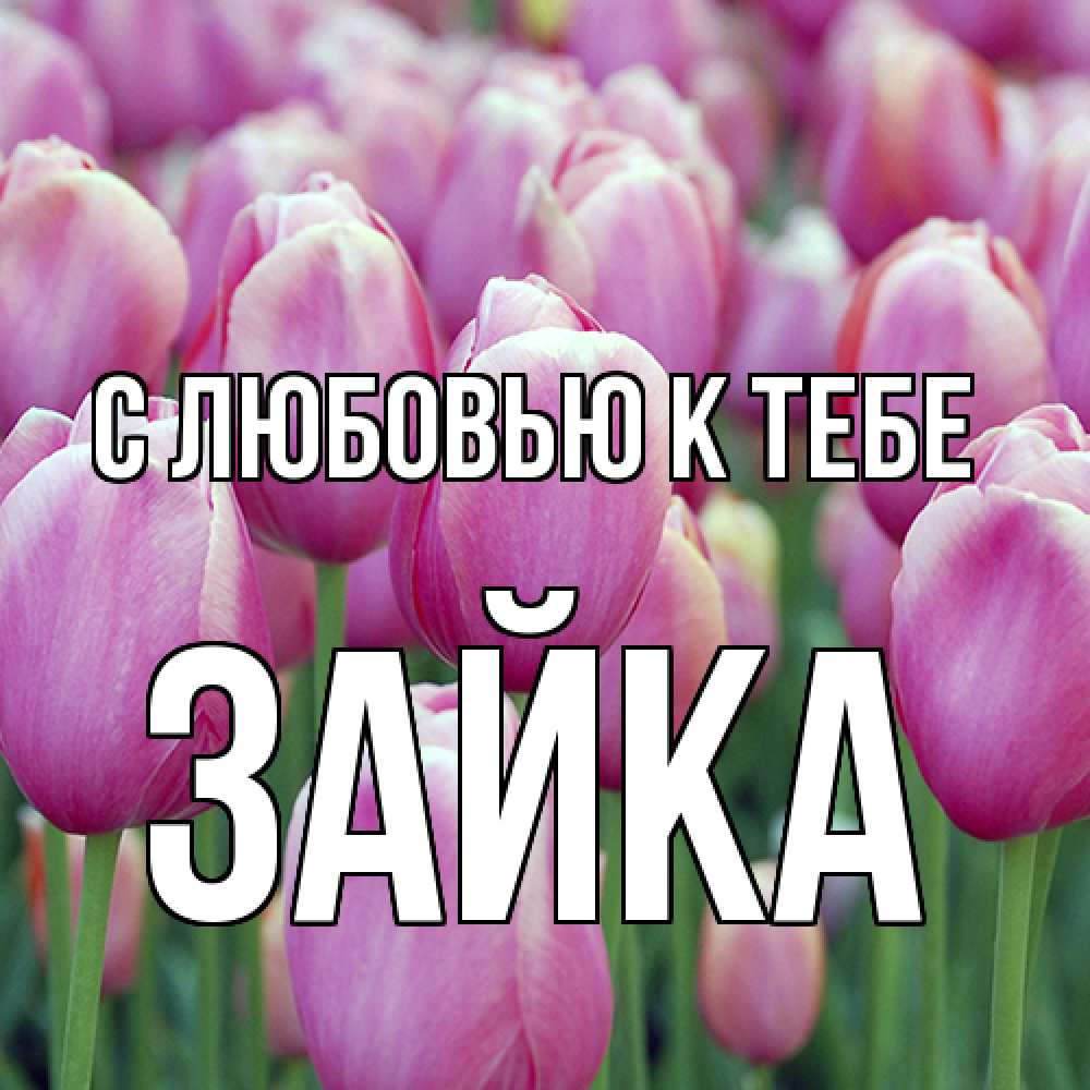 Открытка  с именем. Зайка, С любовью к тебе  