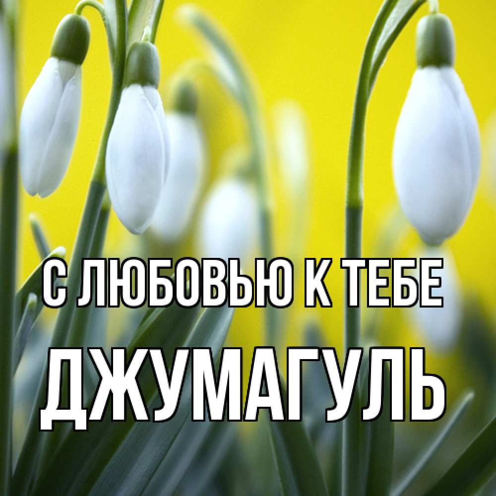 Открытка  с именем. Джумагуль, С любовью к тебе  