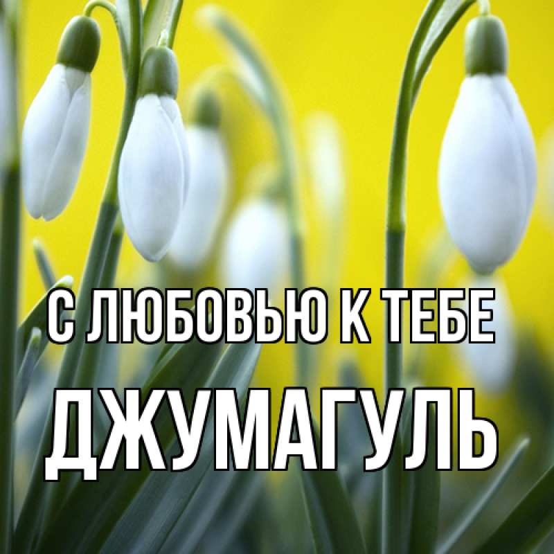 Картинка С любовью к тебе, Джумагуль