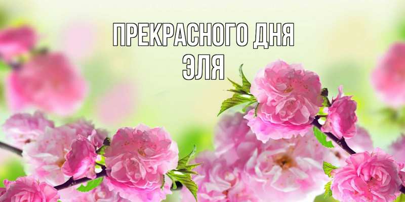 Картинка Прекрасного дня, Эля