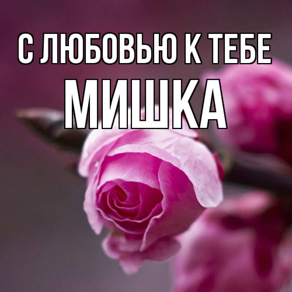 Открытка  с именем. Мишка, С любовью к тебе  