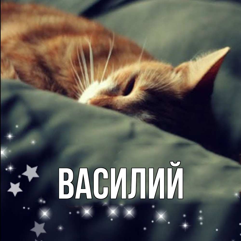 Открытка  с именем. Василий, Главная  