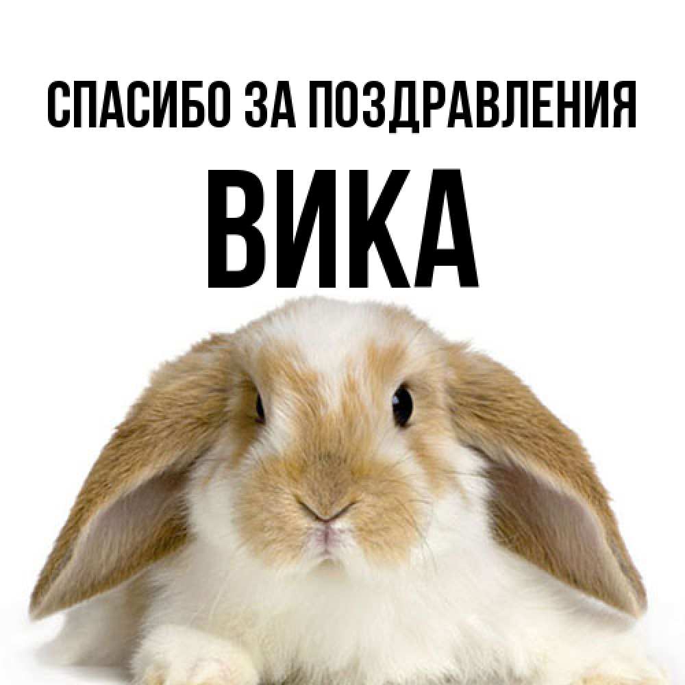 Открытка  с именем. Вика, Спасибо за поздравления  