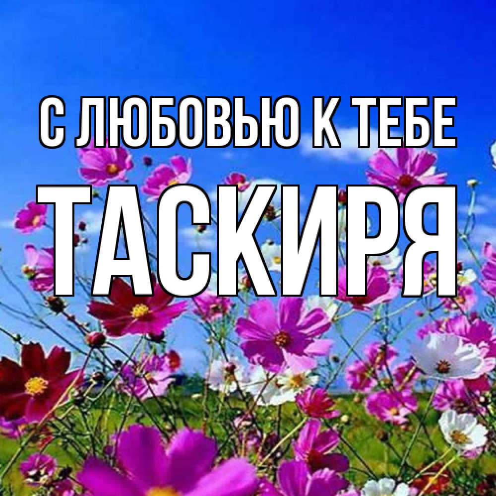 Открытка  с именем. Таскиря, С любовью к тебе  