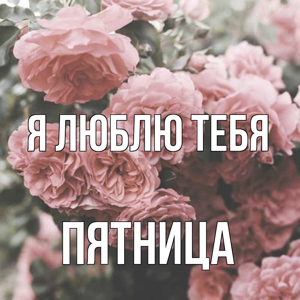 Открытка  с именем. Пятница, Я люблю тебя  