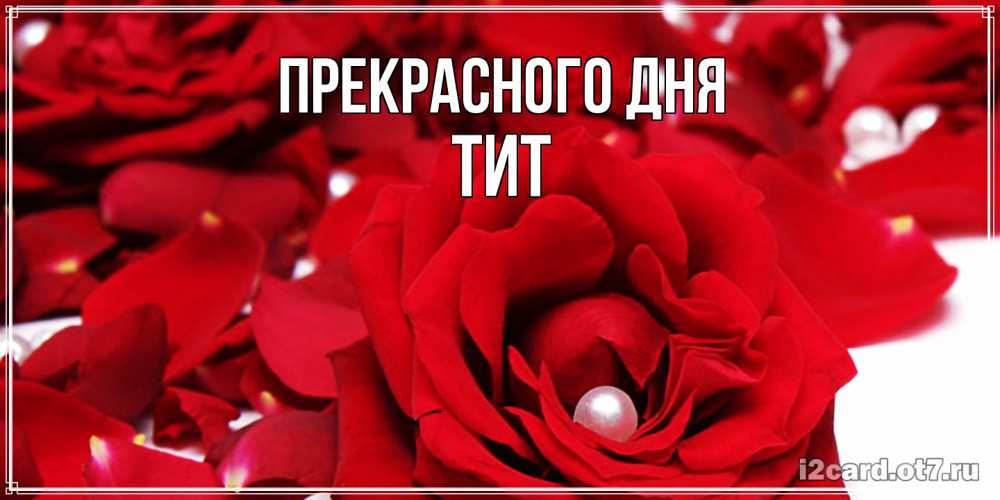 Открытка  с именем. Тит, Прекрасного дня  