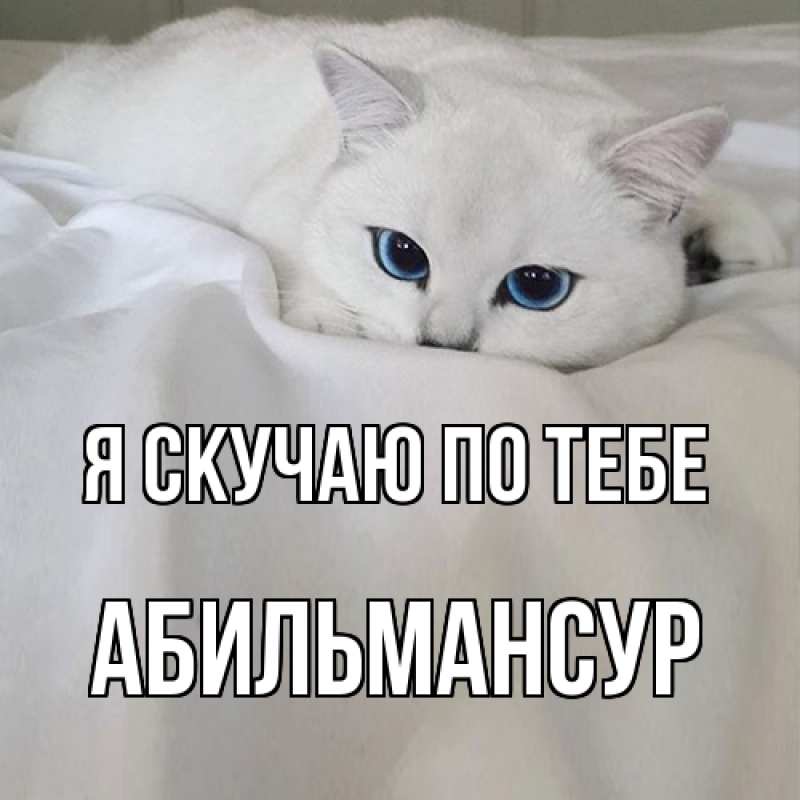 Картинка Я скучаю по тебе, Абильмансур