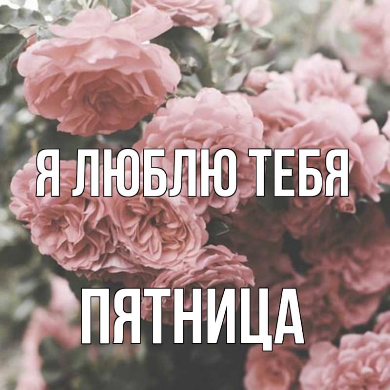 Картинка Я люблю тебя, Пятница