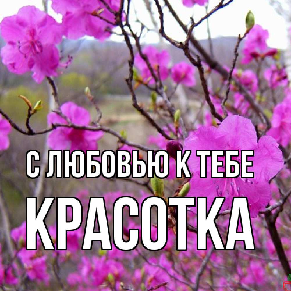 Открытка  с именем. Красотка, С любовью к тебе  