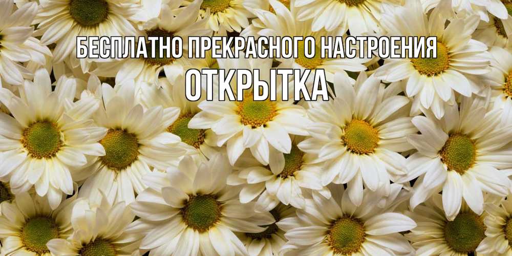 Открытка  с именем. открытка, Прекрасного настроения  
