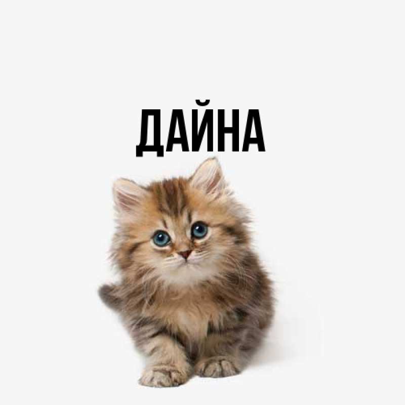 Картинка  с именем , Дайна