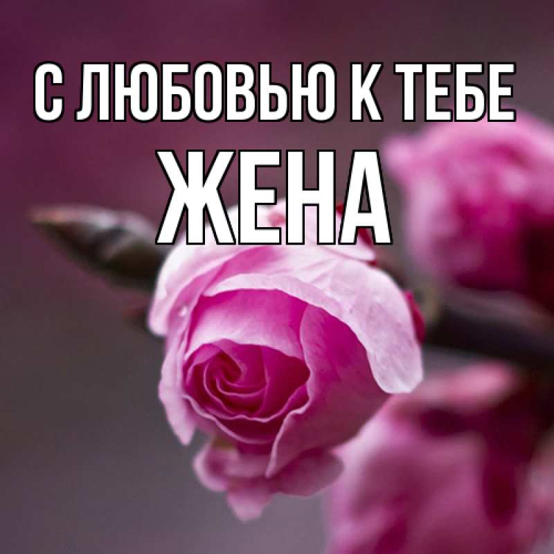 Картинка С любовью к тебе, Жена