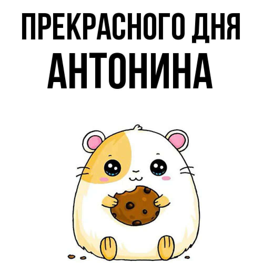 Открытка  с именем. Антонина, Прекрасного дня  