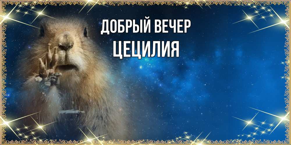 Открытка  с именем. Цецилия, Добрый вечер  