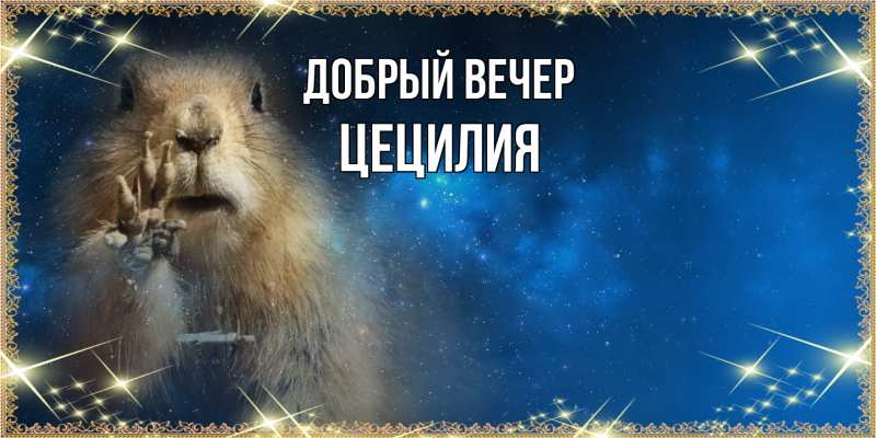 Картинка Добрый вечер, Цецилия