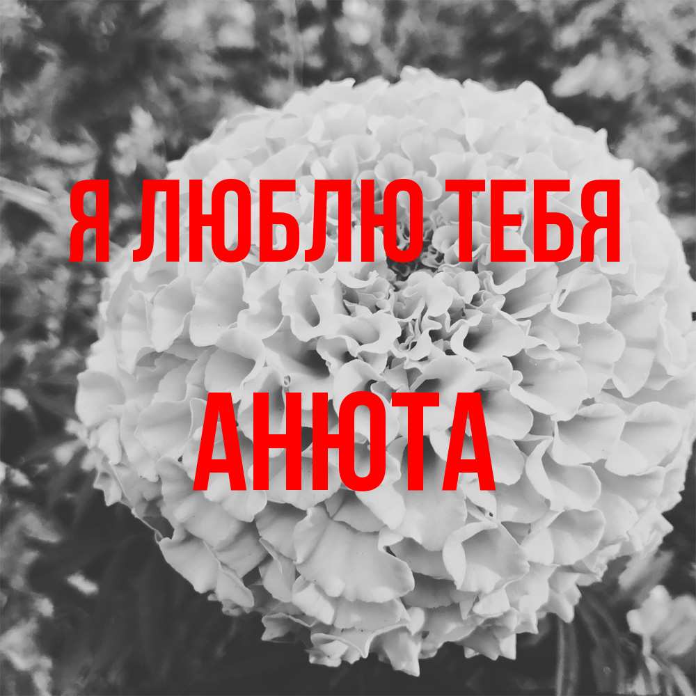 Открытка  с именем. Анюта, Я люблю тебя  