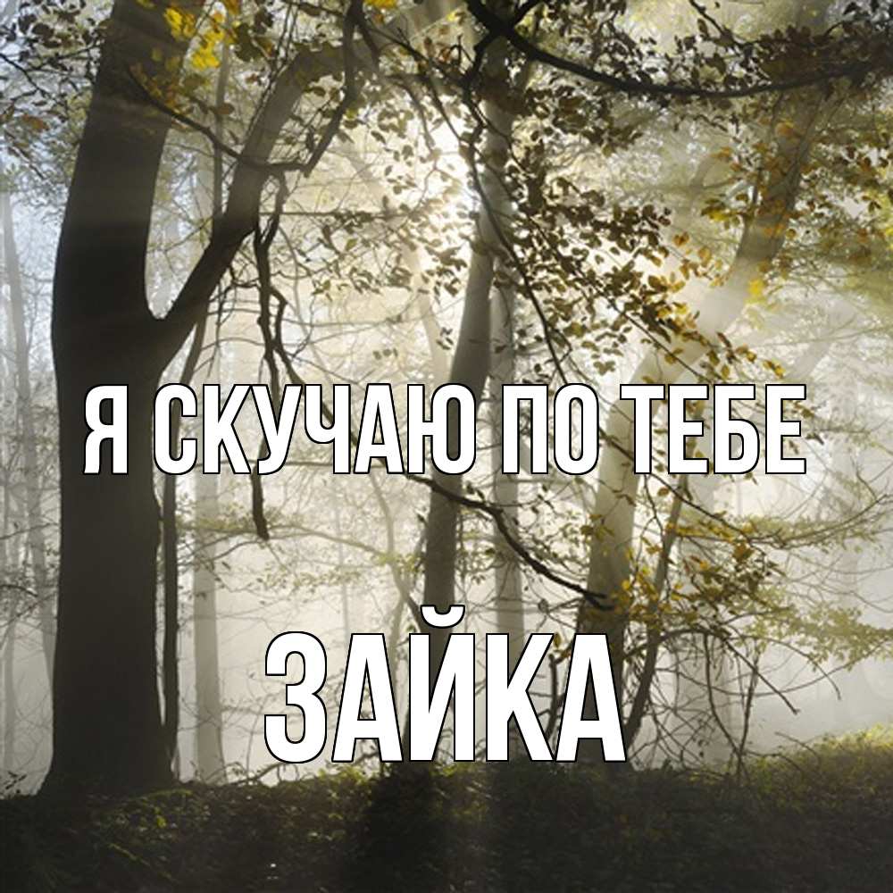 Открытка  с именем. Зайка, Я скучаю по тебе  