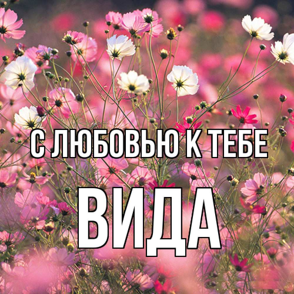 Открытка  с именем. Вида, С любовью к тебе  