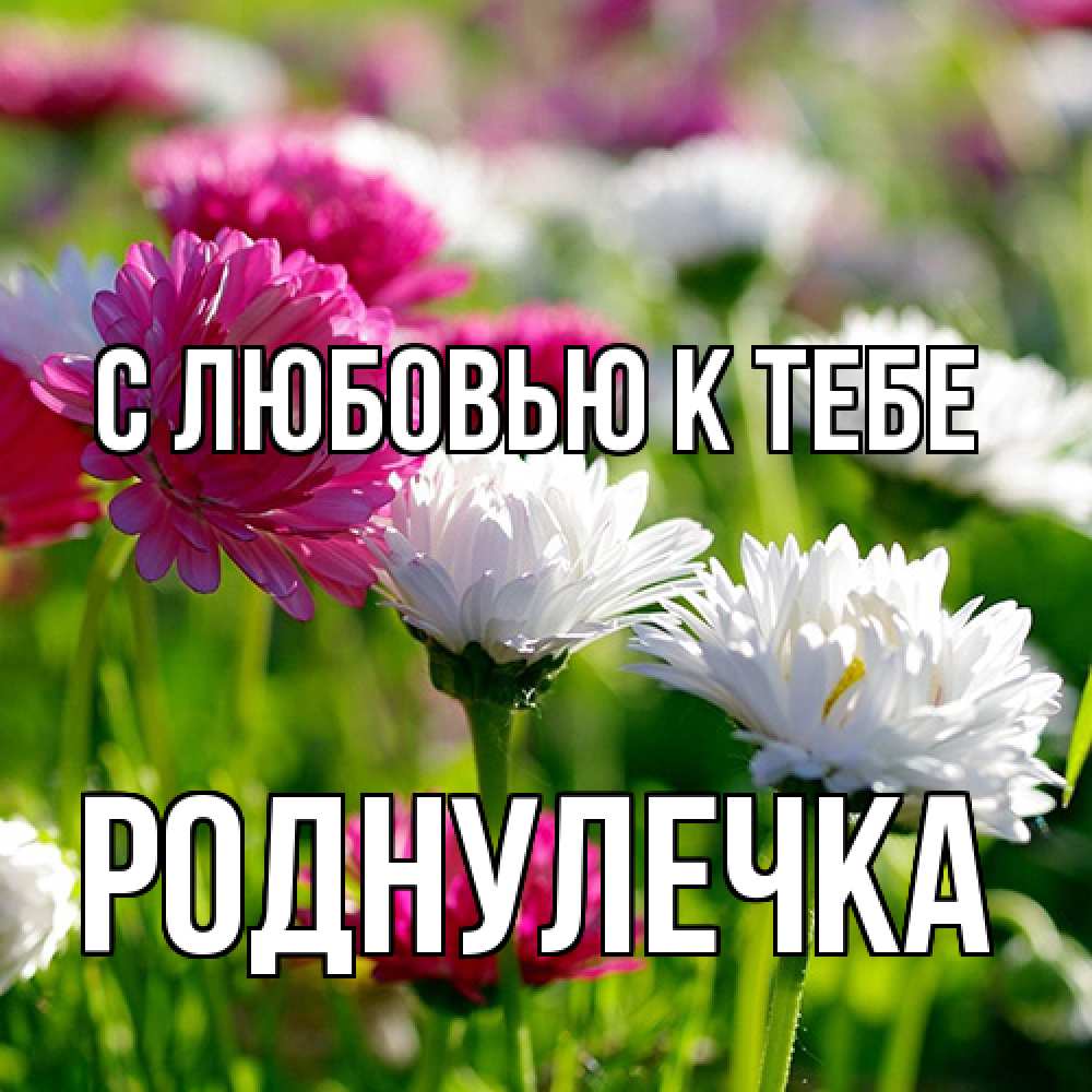 Открытка  с именем. Роднулечка, С любовью к тебе  