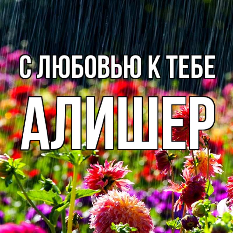 Картинка С любовью к тебе, Алишер