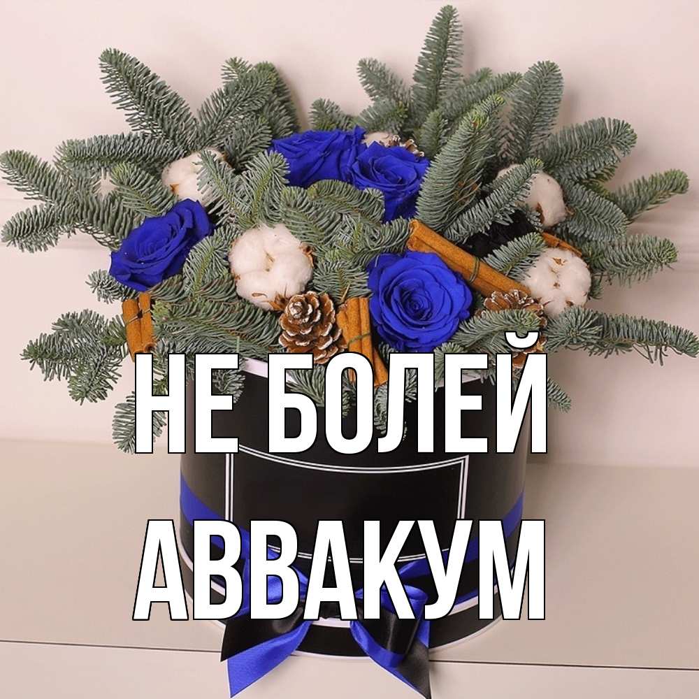 Открытка  с именем. Аввакум, Не болей  