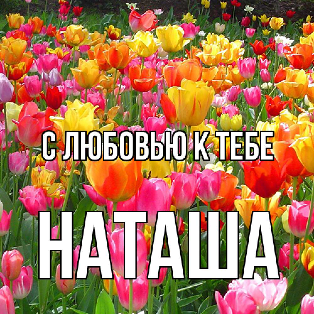 Открытка  с именем. Наташа, С любовью к тебе  