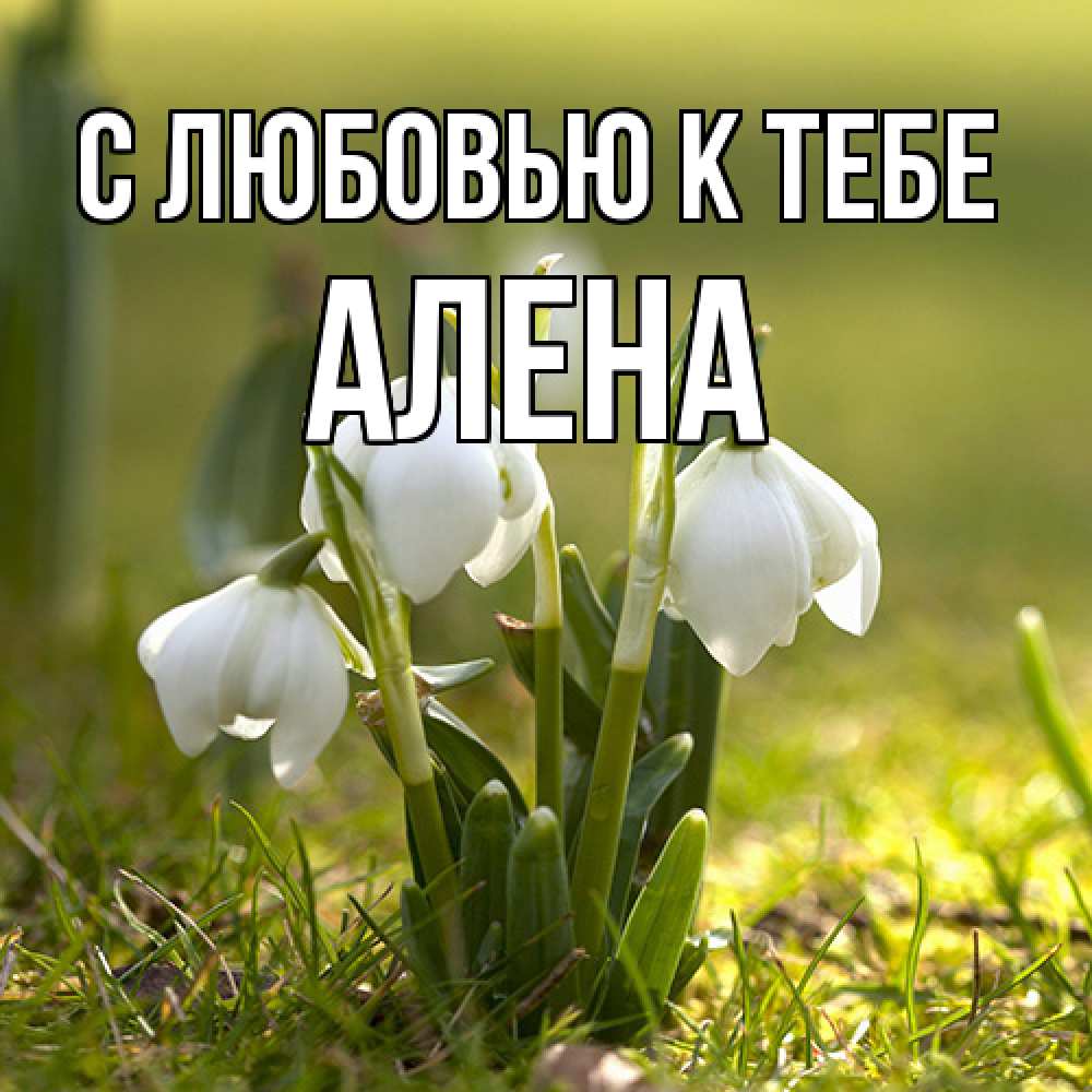 Открытка  с именем. Алена, С любовью к тебе  