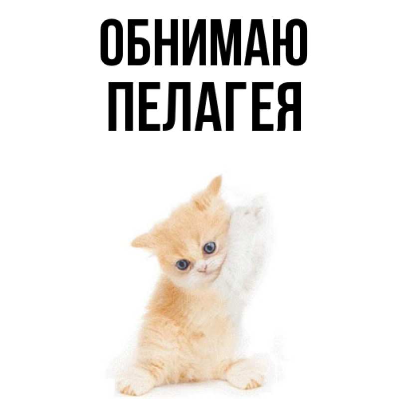 Картинка Обнимаю, Пелагея