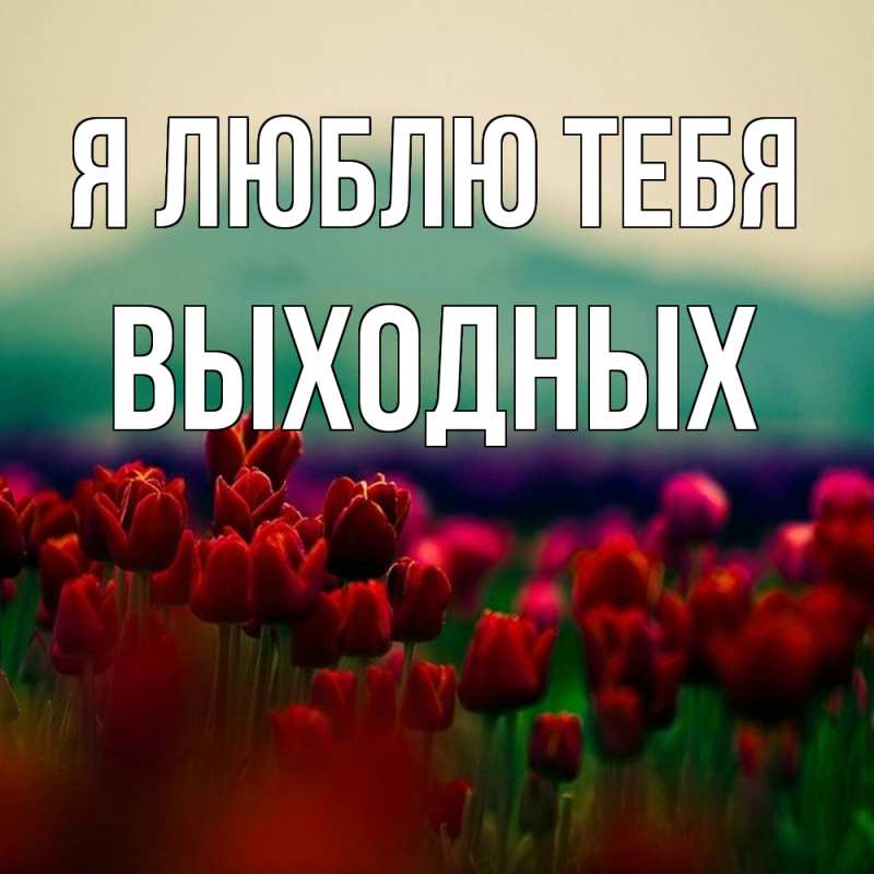 Картинка Я люблю тебя, выходных