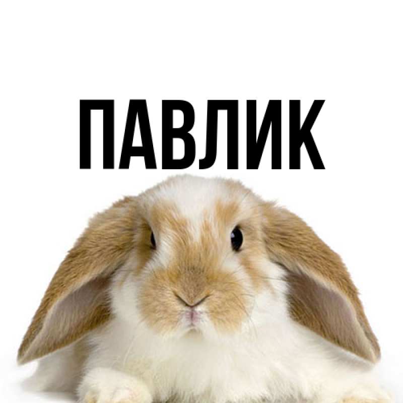 Картинка  с именем , Павлик