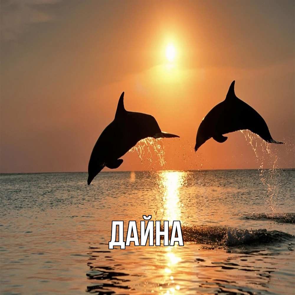 Открытка  с именем. Дайна, Главная  