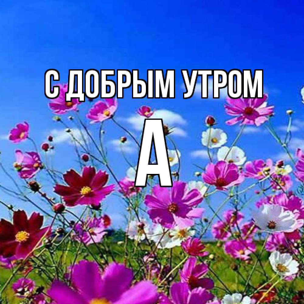 Открытка  с именем. а, С добрым утром  