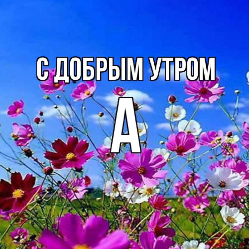 Картинка С добрым утром, а