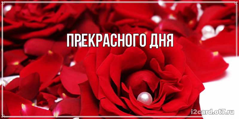 Картинка Прекрасного дня, 