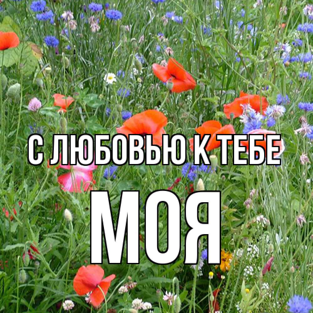 Открытка  с именем. Моя, С любовью к тебе  