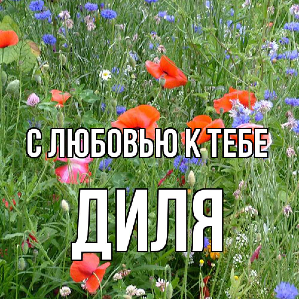 Открытка  с именем. Диля, С любовью к тебе  