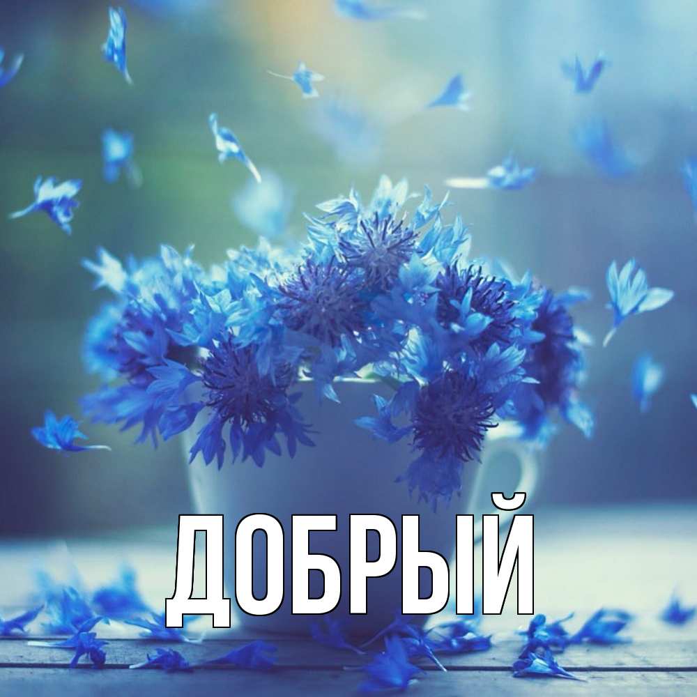 Открытка  с именем. Добрый, Главная  