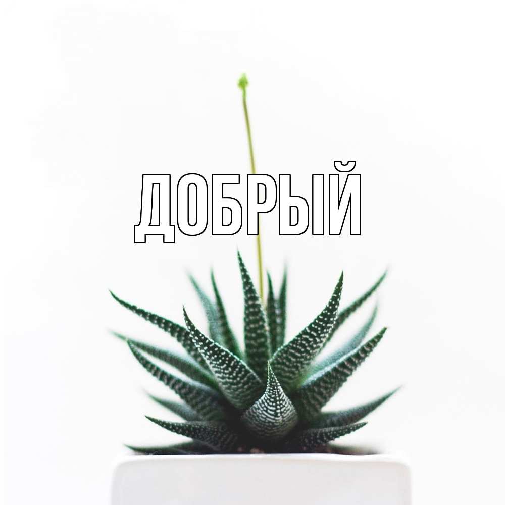 Открытка  с именем. Добрый, Главная  