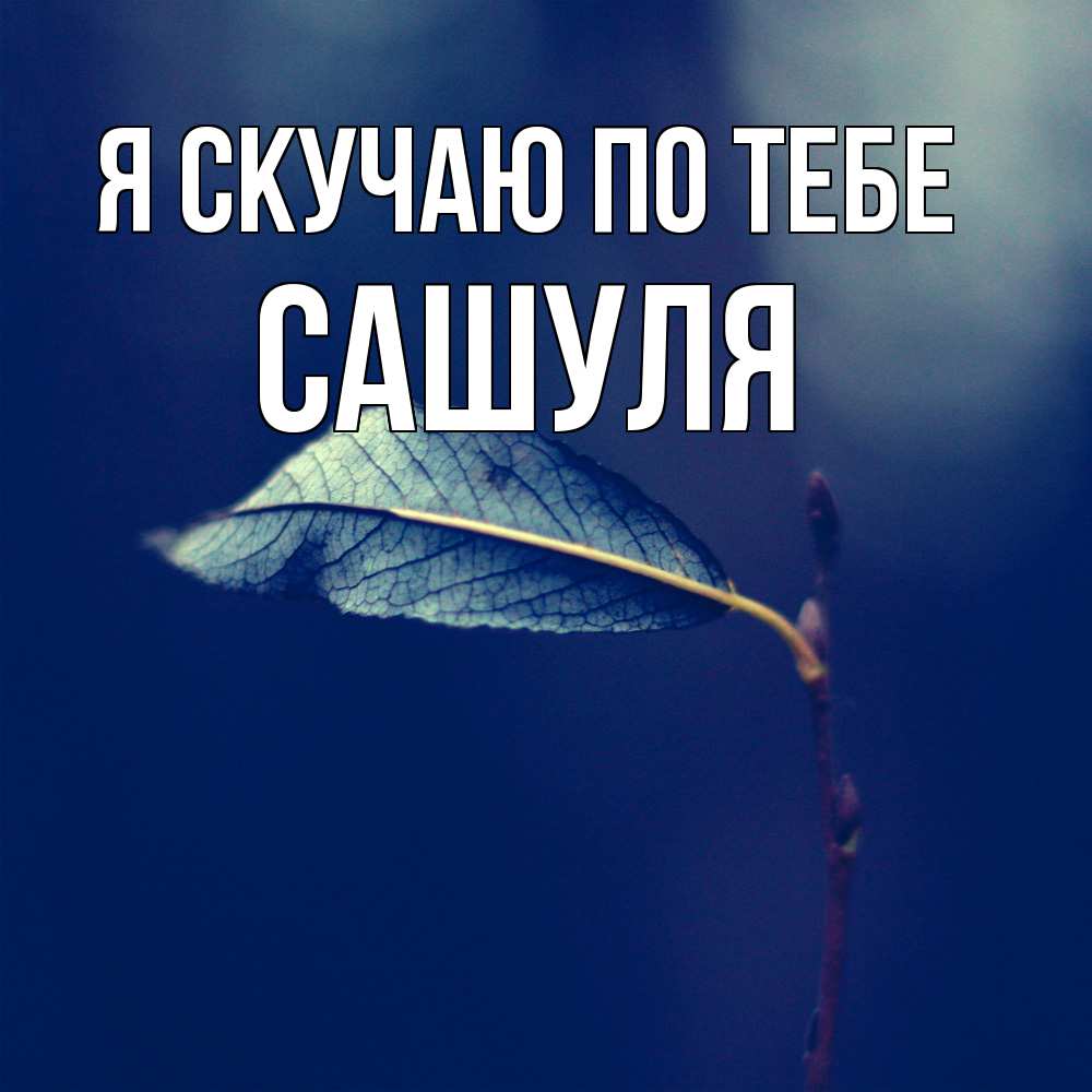 Открытка  с именем. Сашуля, Я скучаю по тебе  