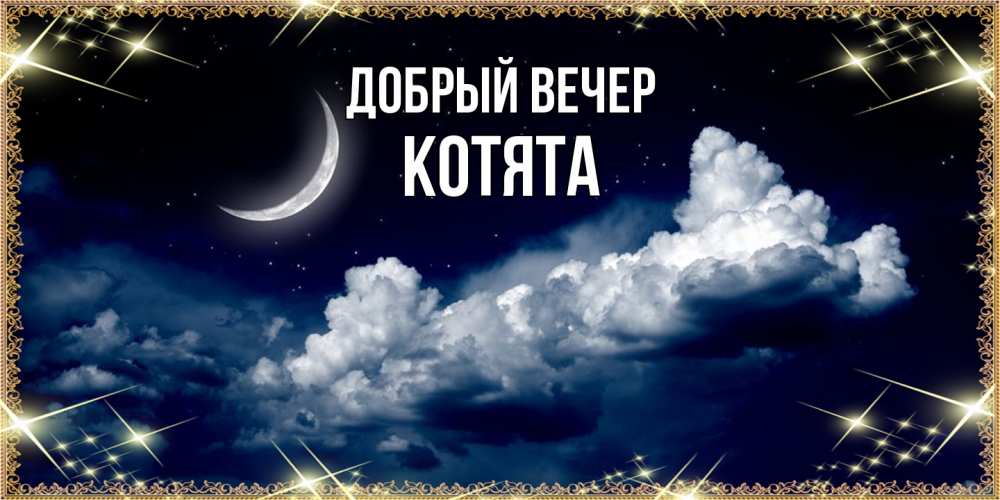 Открытка  с именем. Котята, Добрый вечер  