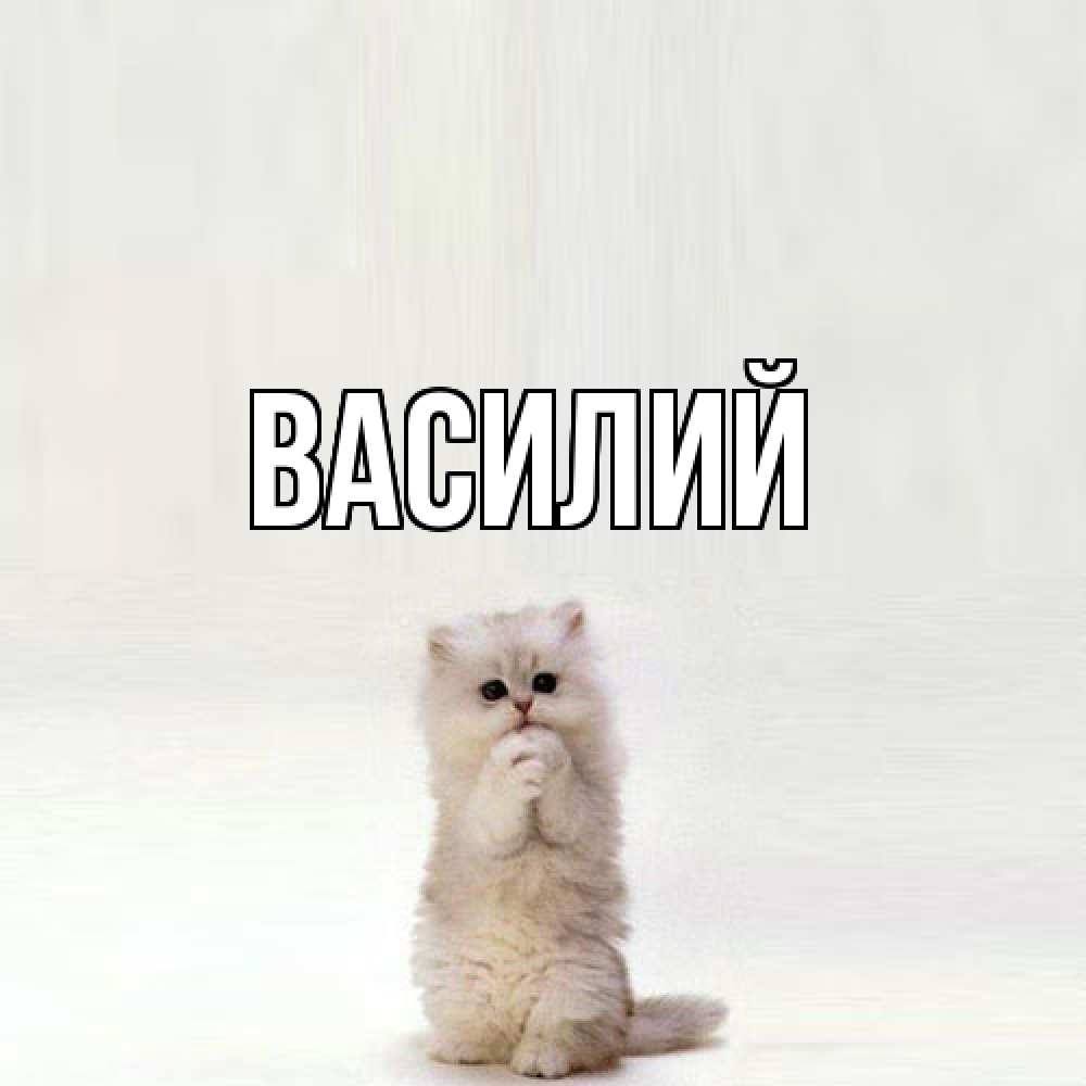 Открытка  с именем. Василий, Главная  