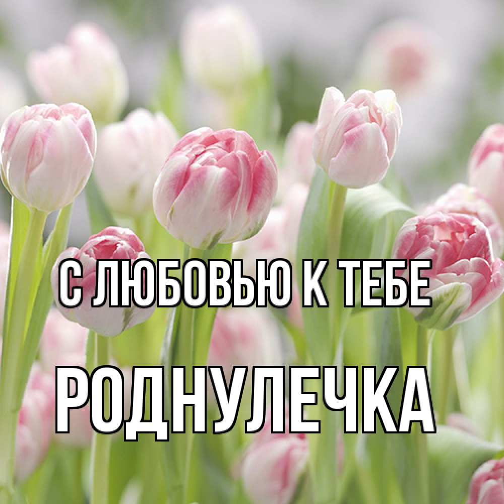Открытка  с именем. Роднулечка, С любовью к тебе  