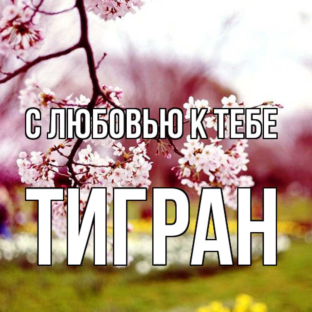 Открытка  с именем. Тигран, С любовью к тебе  