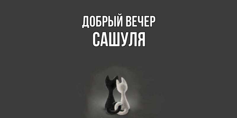 Картинка Добрый вечер, Сашуля