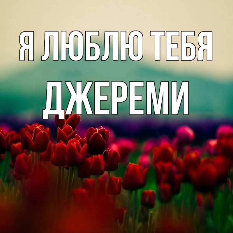 Картинка Я люблю тебя, Джереми
