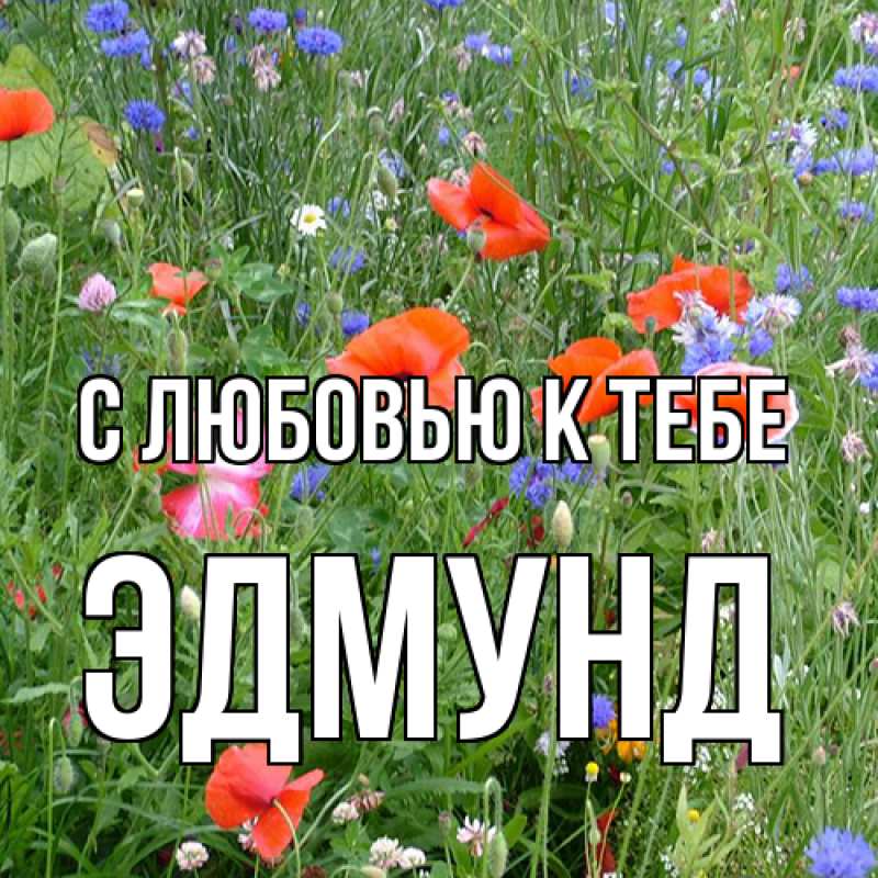 Картинка С любовью к тебе, Эдмунд