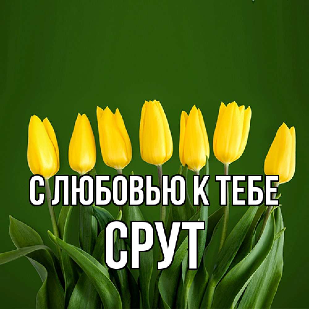 Открытка  с именем. срут, С любовью к тебе  